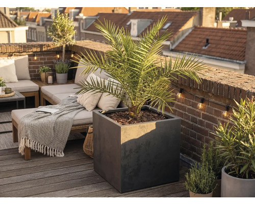 Velký čtvercový květináč v antracitové barvě s palmou na světlé, uspořádané střešní terase s dřevěnou podlahou a cihlovou zdí.