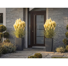 Dva vysoké květináče s pleteným vzorem a ozdobnou pampovou trávou u moderních vchodových dveří s kamenným obkladem.