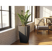 Vysoký čtvercový pletený květináč s rostlinou zamiokulkas ve světlé místnosti s bílými cihlovými stěnami a dřevěnou podlahou.