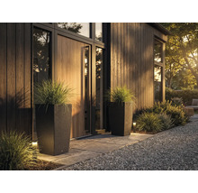 Dva vysoké tmavé květináče v ratanovém vzhledu s okrasnou trávou u moderního organizovaného vchodu s dřevěným obložením a kameny.