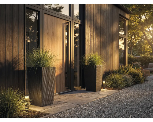 Dva vysoké tmavé květináče v ratanovém vzhledu s okrasnou trávou u moderního organizovaného vchodu s dřevěným obložením a kameny.