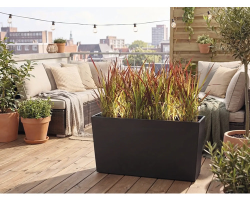 Moderní střešní terasa s velkým černým truhlíkem s okrasnou trávou, zahradní pohovkou s polštáři a terakotovými květináči na dřevěné podlaze.