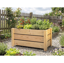 Obdélníkový vyvýšený záhon ze světlého dřeva na zahradě, osázený rajčaty, bylinkami a salátem.