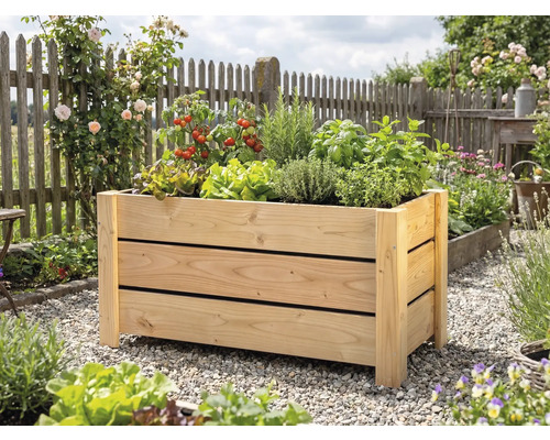 Obdélníkový vyvýšený záhon ze světlého dřeva na zahradě, osázený rajčaty, bylinkami a salátem.