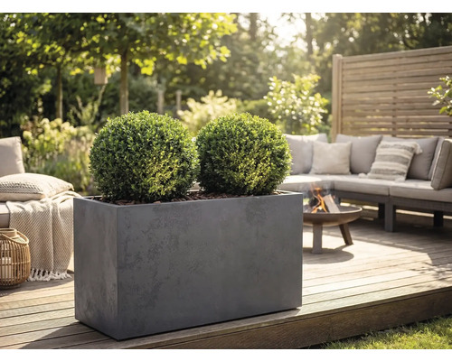 Obdélníkový šedý truhlík se dvěma kulovitými buxusy na dřevěné terase v zahradním salonku s ohništěm a pohovkou.