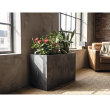 Obdélníkový truhlík v betonovém vzhledu s pokojovými rostlinami jako jsou růže a tchynin jazyk v prosvětleném industriálním pokoji u okna.