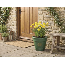 Zelený glazovaný keramický květináč s motivem slunečnice a žlutými narcisy, umístěný na kamenné terase u dřevěných dveří.