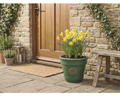 Zelený glazovaný keramický květináč s motivem slunečnice a žlutými narcisy, umístěný na kamenné terase u dřevěných dveří.