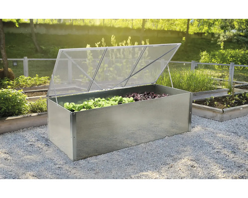 Kovový vyvýšený záhon s otevřeným průhledným víkem a rostlinami salátu v zahradě.