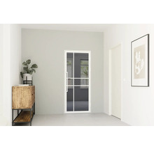 Moderní skleněné dveře v loftovém designu s bílým rámem a čtyřmi tabulemi v prosvětlené, minimalistické místnosti s komodou a rostlinou.
