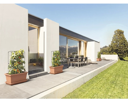 Rajčata v plastových truhlících s mřížkami na moderní terase se zahradním nábytkem a přilehlým trávníkem.