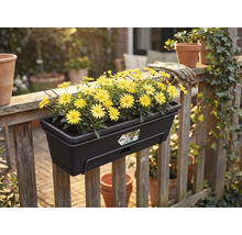 Tmavý truhlík na balkón Elho se žlutými květy na dřevěném zábradlí v zahradě. Logo Elho.