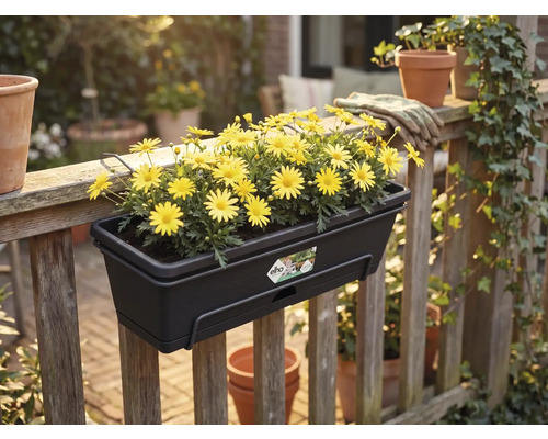 Tmavý truhlík na balkón Elho se žlutými květy na dřevěném zábradlí v zahradě. Logo Elho.