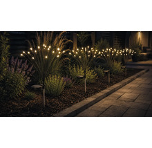 Solární zahradní svítidla v designu ohňostroje s teplými bílými LED žárovkami v záhonu vedle dlážděné zahradní cesty.
