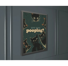 Rámovaný nástěnný plakát s ilustracemi koček a textem are you pooping