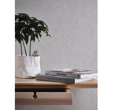 Vliesová tapeta Trend Spectrum 390362 metalický efekt šedá, stříbrná 53 x 1005 cm