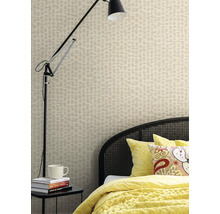 Vliesová tapeta Trend Spectrum 792533 s efektem béžová, stříbrná 53 x 1005 cm