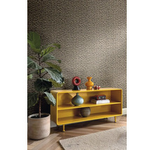 Vliesová tapeta Trend Spectrum 792535 s efektem béžová, hnědá 53 x 1005 cm