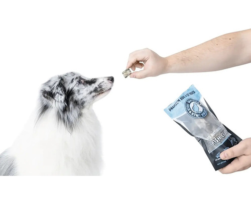 Osoba krmí psa rybími kostičkami Kiwi Walker z obalu produktu