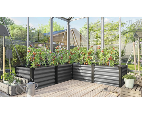 Zvýšený záhon ve tvaru L z kovu ve skleníku s rajčaty, zahradním nářadím a konví na dřevěné podlaze.