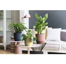 Obal na květináč plastový elho Vibes Ø 22 cm modrý