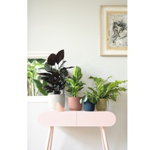 Obal na květináč plastový elho Vibes Ø 22 cm růžový