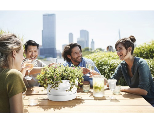 Společnost sedí u stolu venku s nápoji a květináčem s rostlinami