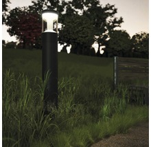 Venkovní lampa na trávníku se stromy v pozadí