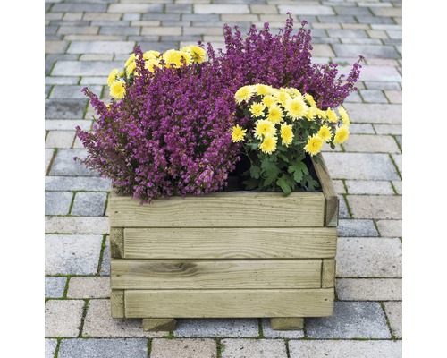 Dřevěný truhlík s vřesem a chryzantémami
