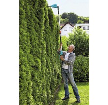 Muž stříhá vysoký živý plot akumulátorovými nůžkami na živý plot s teleskopickou tyčí