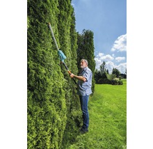 Muž stříhá živý plot pomocí nůžek na živý plot