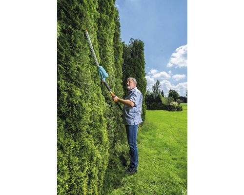 Muž stříhá živý plot pomocí nůžek na živý plot