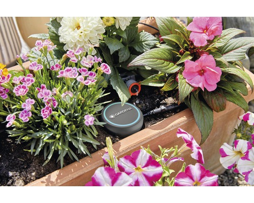 Květináč se zavlažovacím systémem a různými kvetoucími rostlinami