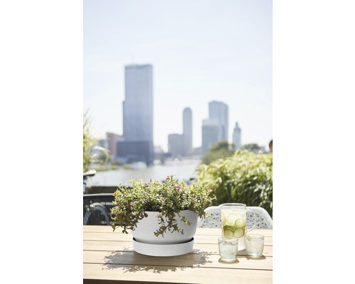 Květináč s podšálkem a rostlinami na stole