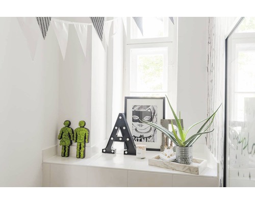 Dekorativní koupelnová police s figurkami rostlin, osvětleným písmenem A, zarámovaným uměleckým tiskem a rostlinou Aloe Vera