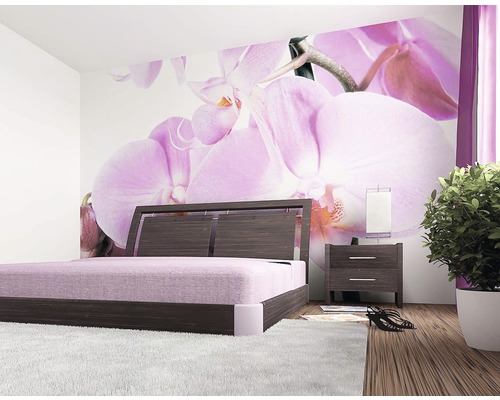 Ložnice s dvoulůžkem, nočním stolkem, pokojovou rostlinou a fototapetou