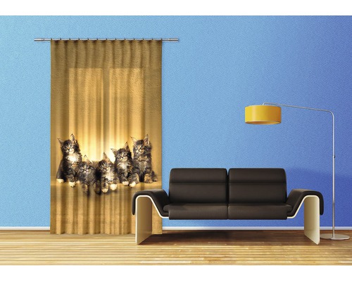 Dekorativní závěs s motivem koček v obývacím pokoji