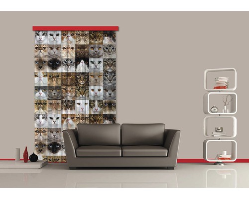 Pohled do pokoje s pohovkou, regálem a roletou s kočičím motivem