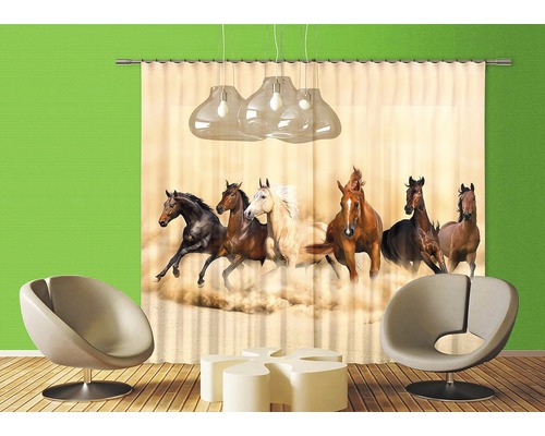 Pohled na pokoj se závěsem s motivem koní