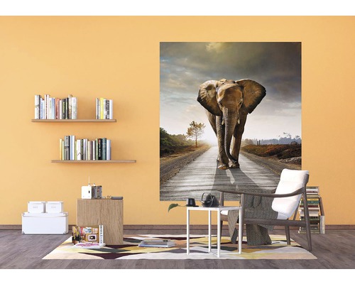 Nástěnná malba se slonem na silnici v obývacím pokoji