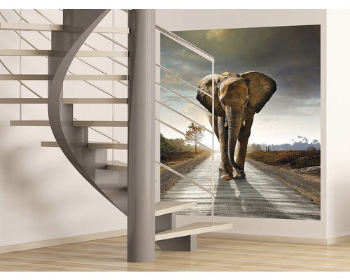 Pokoj se spirálovým schodištěm a nástěnnou malbou slona na silnici