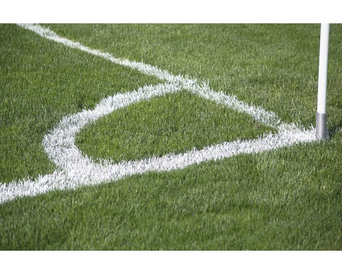 Roh fotbalového hřiště s rohovou vlajkou a značením