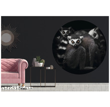 Fototapeta vliesová Lemuři 95 cm