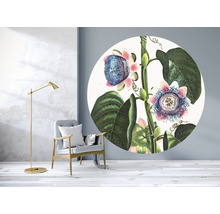 Fototapeta vliesová Passie flora 95 cm
