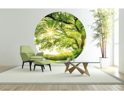 Obývací pokoj se zeleným křeslem, podnožkou, konferenčním stolkem a nástěnnou nálepkou s motivem stromu