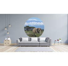 Fototapeta vliesová Kilimandžáro 95 cm