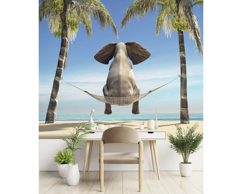 Foto tapeta se slonem v houpací síti mezi palmami
