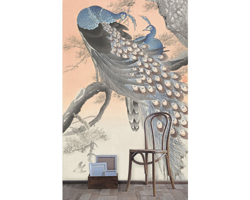 Tapeta s motivem pávů a dřevěná židle v místnosti