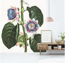 Fototapeta vliesová Passie flora 243x280 cm