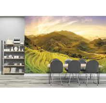 Fototapeta vliesová Vietnam 243x184 cm